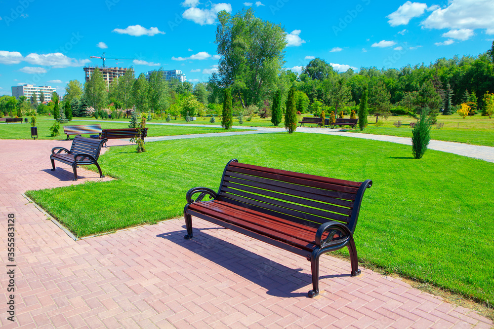 benches in the spring park , empty park in the sunny day , meadow with green lawn 