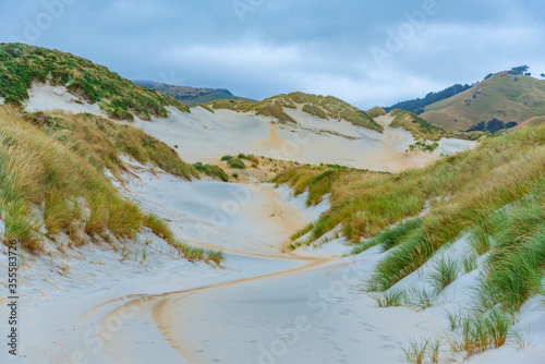 Sand duens at Sandfly bay in Otago peninsula, New Zealand photo