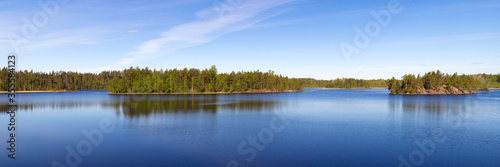 forest lake in summer day