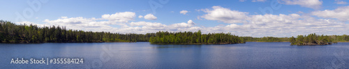forest lake panorama