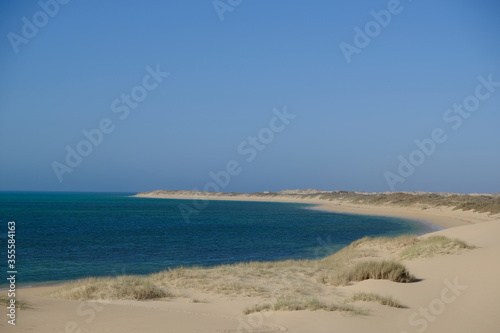 Fototapeta Naklejka Na Ścianę i Meble -  Western Australia Cape Jurabi Coastal Park - Scenic coastline with sand dunes