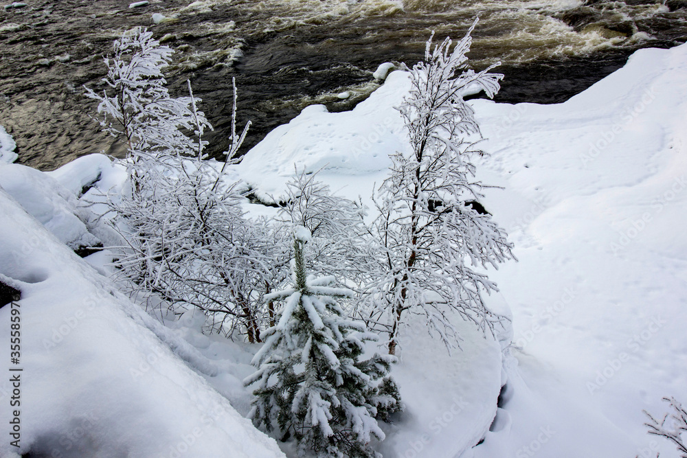Landscape with much snow in the winter time at Sweden Landscape with much snow in the winter time at Sweden