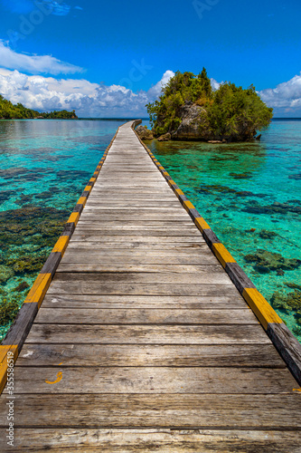 walkway in coral sea, togian island, sulawessi, indonesia © Daniel