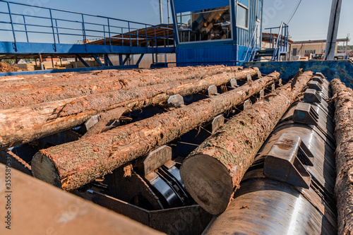 Automated log sorting line. Production of timber from wood. Woodworking. Machining logs. The logs in the sawmill are moving along a conveyor belt
