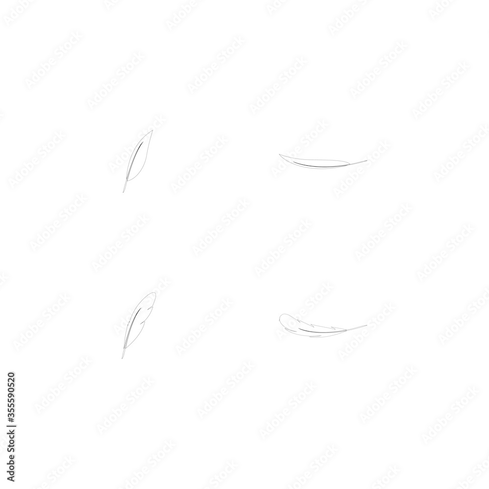 Fototapeta premium feather logo