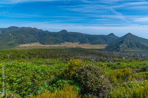 Ahukawakawa Swamp under mount Taranaki at Egmont national park in New Zealand photo