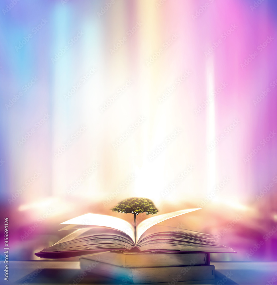 The Concept Of Education By Planting A Tree Of Knowledge In The Opening Of  An Old Book In The Library And The Magical Magic Of Light That Flies To The  Destination Of