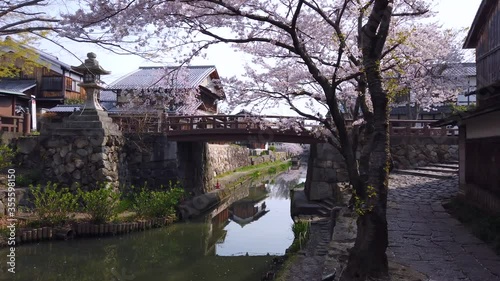 Sakura petals falling over Omihachiman Moat as car passes in background photo