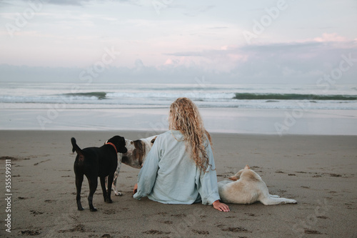 A woman and dogs look at the ocean. Freedom, harmony