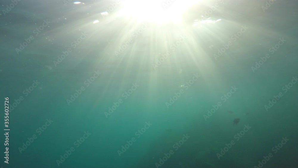 Underwater background video with sunlight penetrating ocean surface Underwater background video with sunlight penetrating ocean surface