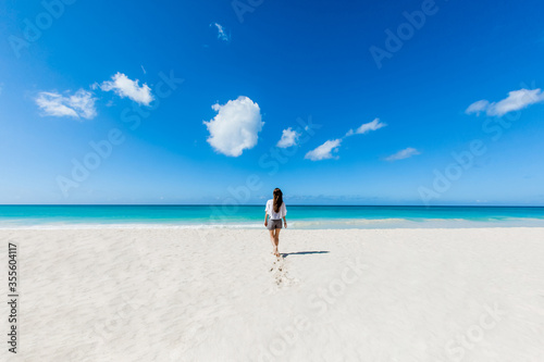 Woman back view relaxing on the sandy beach enjoying sunny day on the tropical caribbean island landscape with turquoise sea and blue sky  © Irina