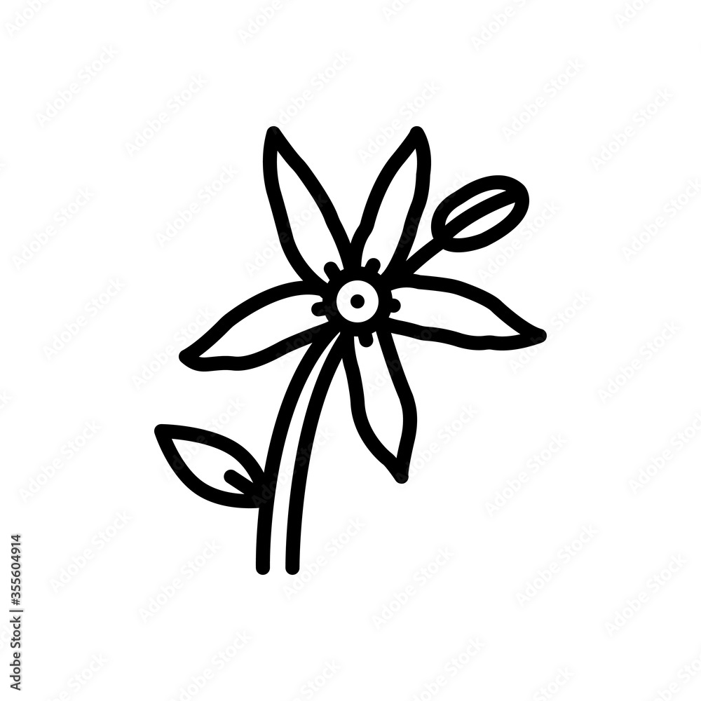 Black line icon for bluestar flower