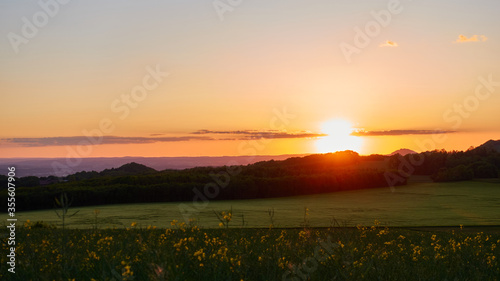 Red sunset in front of a forest trees. Rapeseed and wheat field in the foreground, small clouds can be seen. Stoetten, Germany.