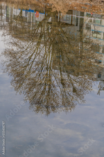 Buildings and trees reflection in river photo