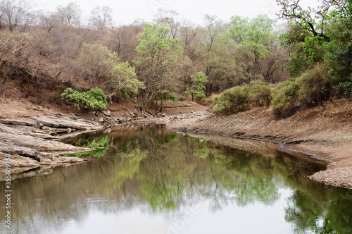 Ranthambore national park in India