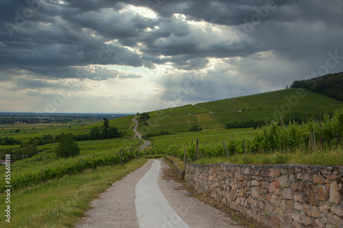 In den Höhen von Dambach La Ville im Elsass photo