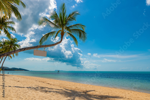 Fototapeta Naklejka Na Ścianę i Meble -  beach on Koh Samui in Thailand, paradise, sunny beach, coconuts and palm trees, sunbathing and swimming in the sea, blue ocean and sky, travel to the resort, relaxation and enjoyment