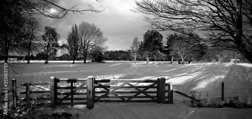 Snowy Fence