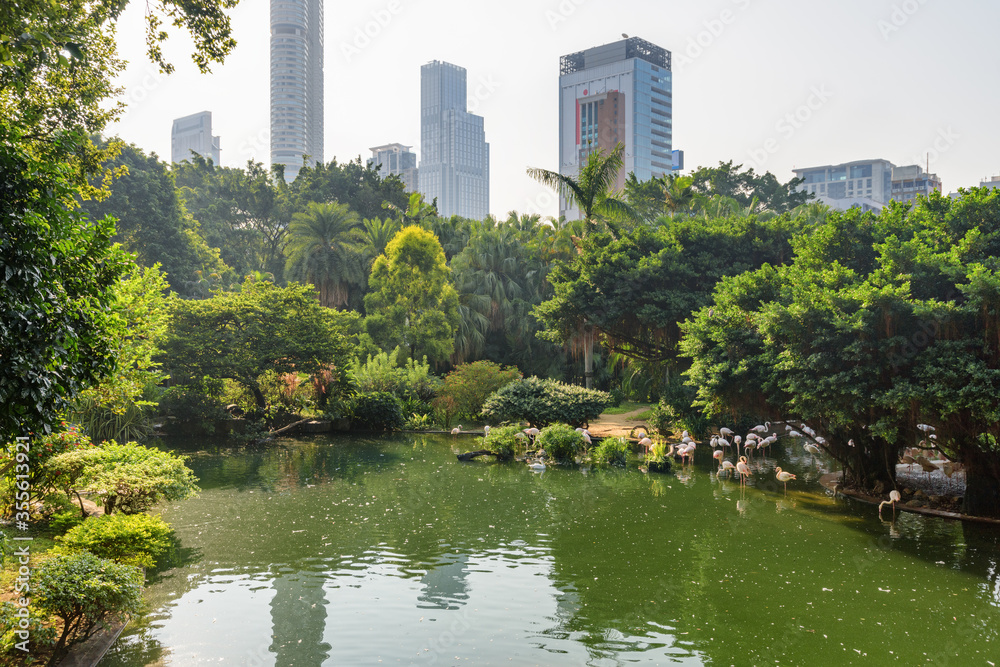 Awesome morning view of Bird Lake at Kowloon Park