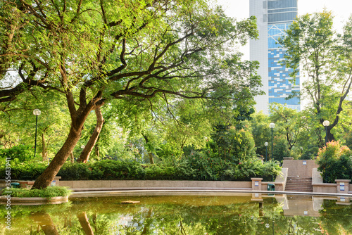 Photography Awesome view of green trees reflected in water, Kowloon Park