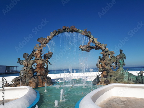 Beatifull portal if the sea. Cozumel in a paradise island