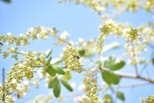 Bees are animals that help pollinate flowers.