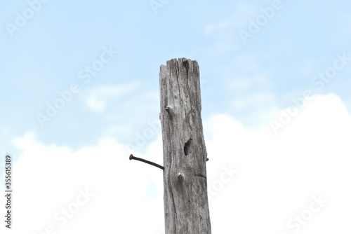 old wooden fence against sky