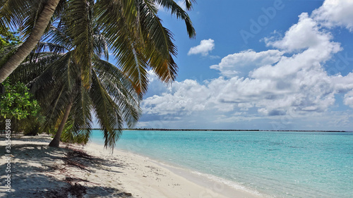 Summer sunny day in the Maldives. The aquamarine ocean is calm, with picturesque clouds in the sky. Palm trees on a sandy beach leaned towards the water. Relax and happiness.