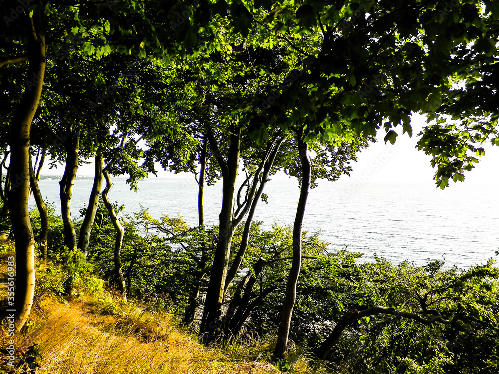 Beautiful view of Baltc Sea from park in Gdynia, Poland. Beautiful view of Baltc Sea from park in Gdynia, Poland.