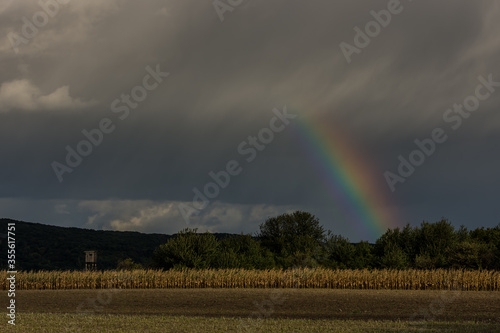 short rainbow in a field with storm clouds