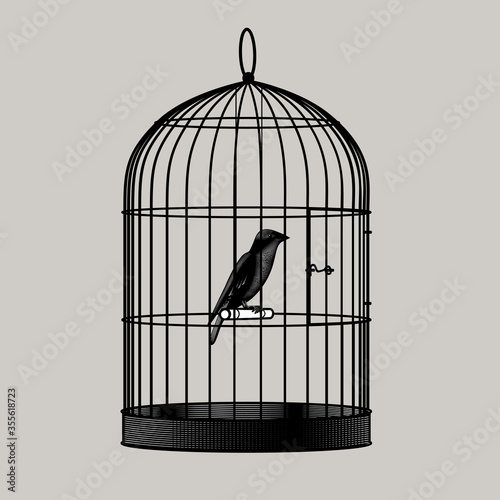 Engraved drawing of a bird sitting inside a cage