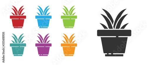 Black Flower in pot icon isolated on white background. Plant growing in a pot. Potted plant sign. Set icons colorful. Vector Illustration.