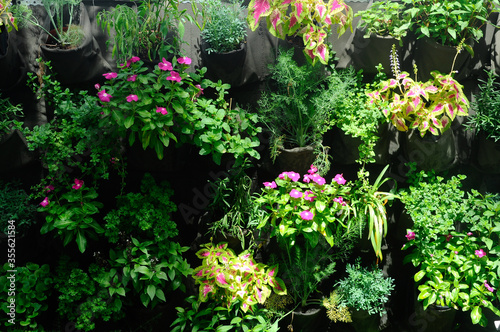 Fototapeta Naklejka Na Ścianę i Meble -   Planting flowers and small plants in plastic pots. It was hanged vertically like a vertical garden.