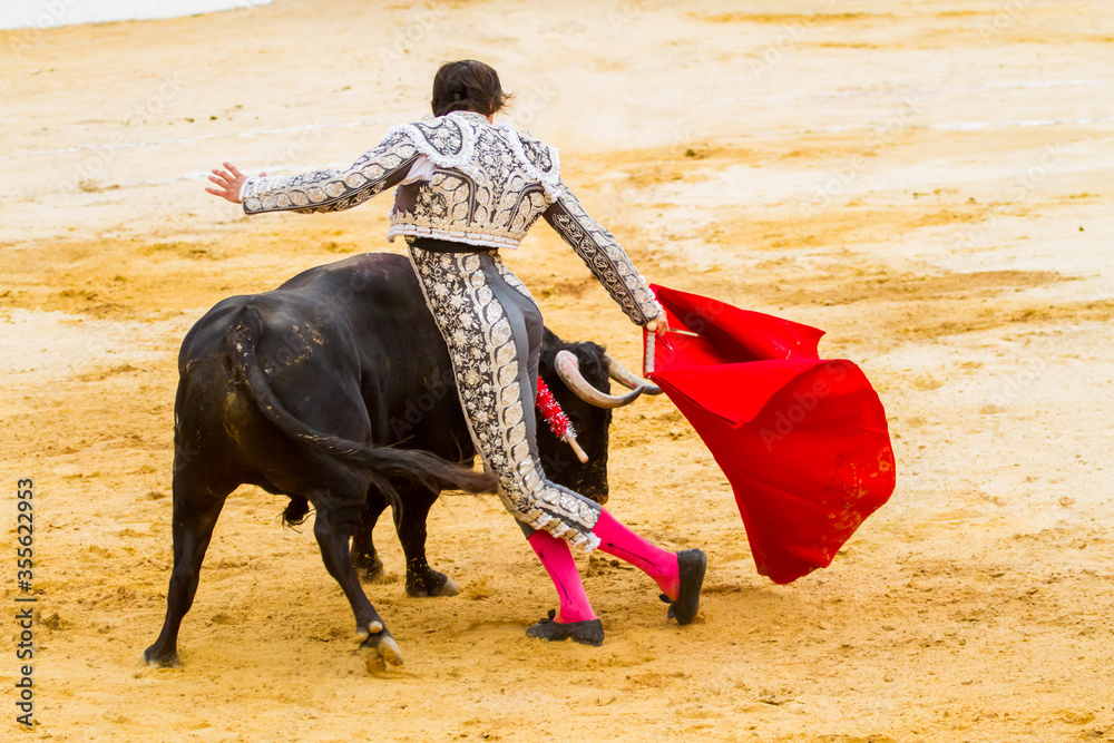 Bullfighter Bullfighter