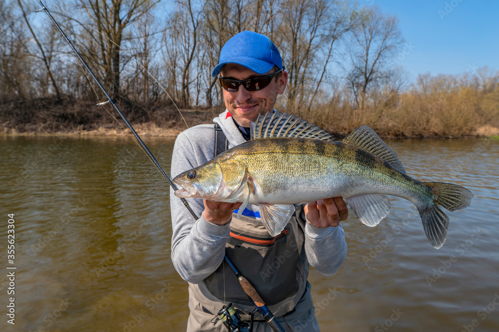 Happy fisherman with zander fish. Success walleye fishing at wild river Happy fisherman with zander fish. Success walleye fishing at wild river