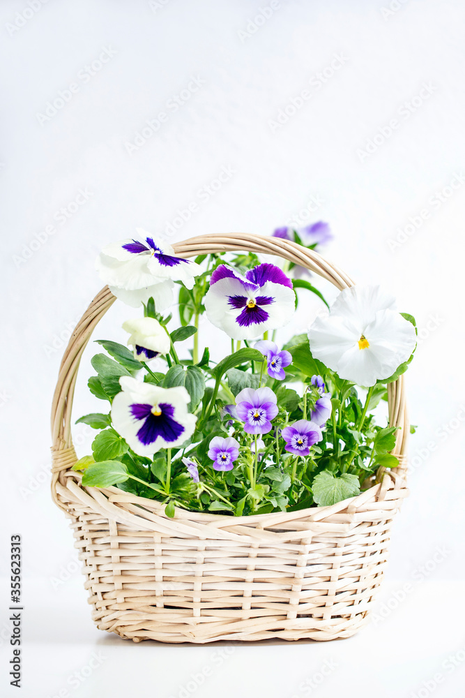 flowerbed in wicker basket