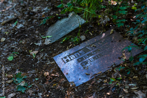 Old graves in a forest, old cemetery, graves no one cares about, overgrown graves