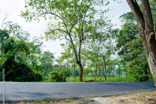 National highway in Kaziranga  Golaghat   Assam 