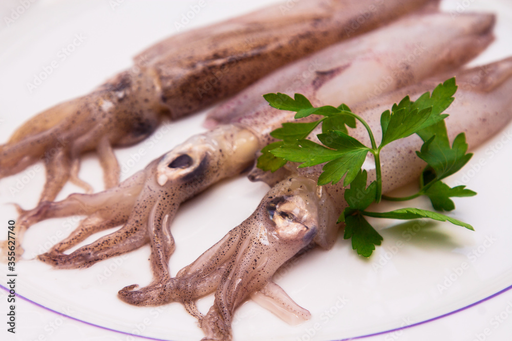 squid or cuttlefish on white plate with parsley