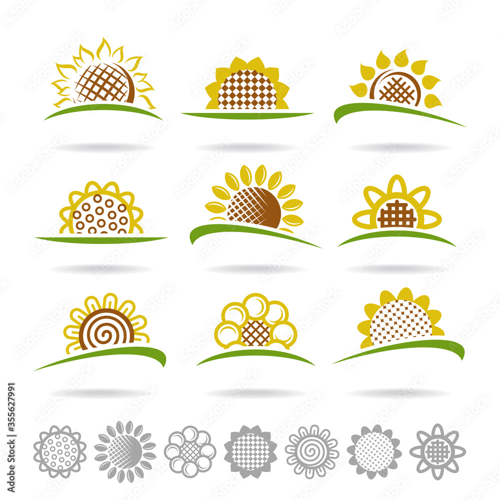 Sunflower set. Collection icon sunflower. Vector Sunflower set. Collection icon sunflower. Vector