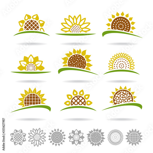 Sunflower set. Collection icon sunflower. Vector 