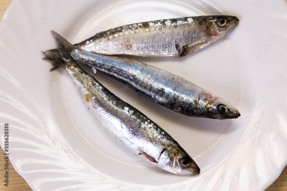 plate of fresh sardines on the plate plate of fresh sardines on the plate