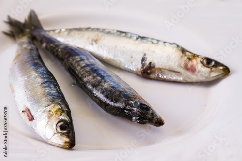 plate of fresh sardines on the plate