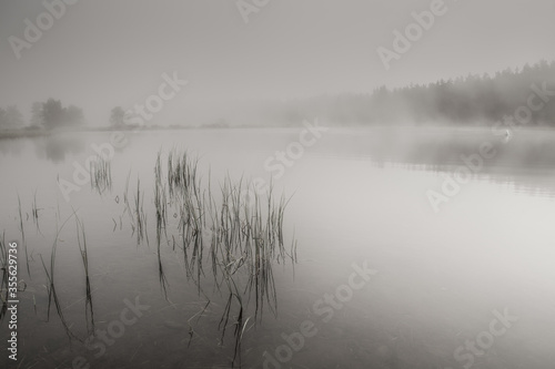 la nebbia sale dalle acque del lago
