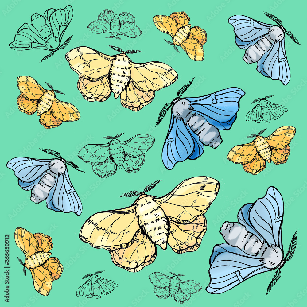 Fototapeta premium Hand draw illustration butterfly silkworm. Pattern for textil, wedding, beautiful background.