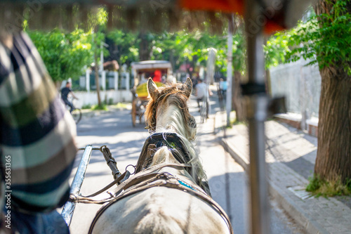 Back view of a traditional horse carriage (phaeton) riding tour with Buyukada view in sunny day. Buyukada is a neighbourhood in the Adalar (Islands) district of Istanbul Province, Turkey. © gokhan