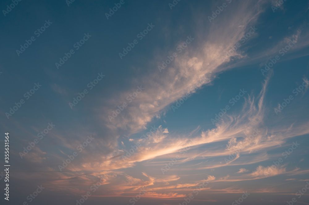 Fototapeta premium 空