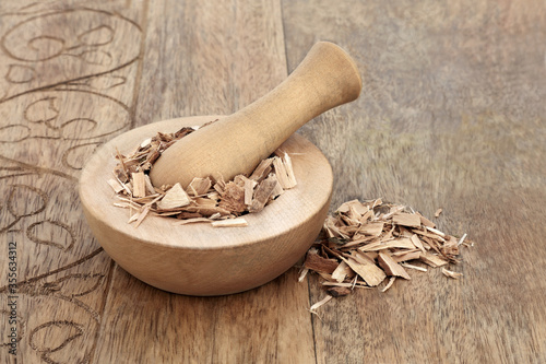 Poplar bark herb in a mortar with pestle used in herbal medicine to treat headaches, relieve pain, wounds, acne, sore joints, rheumatism, on rustic wood background. Populus alba. photo