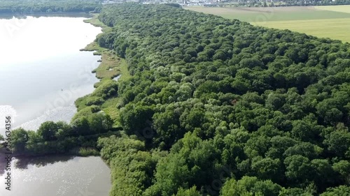 étangs de Hollande, forêt de Rambouillet près de Versailles