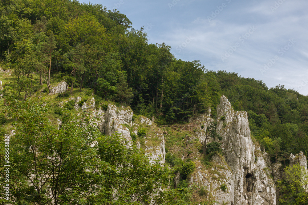 Obraz premium Trees on the slopes of the mountains. Blue cloudy sky. 